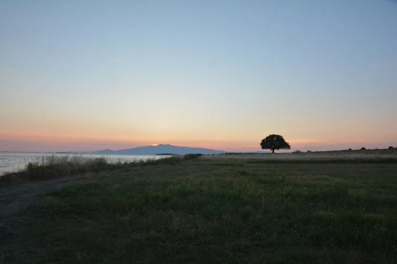 Гринейон (Гриней) — оракулът на Аполон край Алиага, Измир