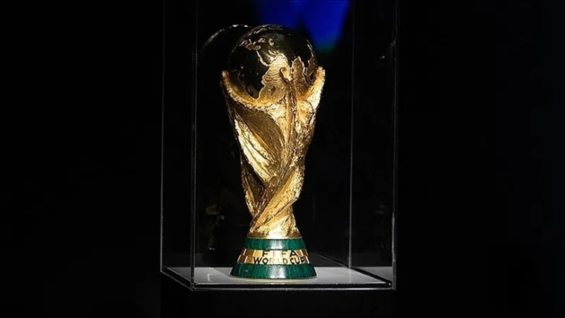 Oprócz reprezentacji Turcji, do mistrzostw świata zakwalifikowały się również Szwecja, Czechy i Bośnia i Hercegowina