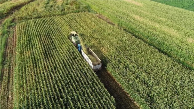 Ustalono zasady dotyczące ochrony i użytkowania gruntów rolnych