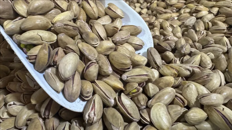 Turquía exportó 32,8 millones de dólares en pistachos durante el primer trimestre del año