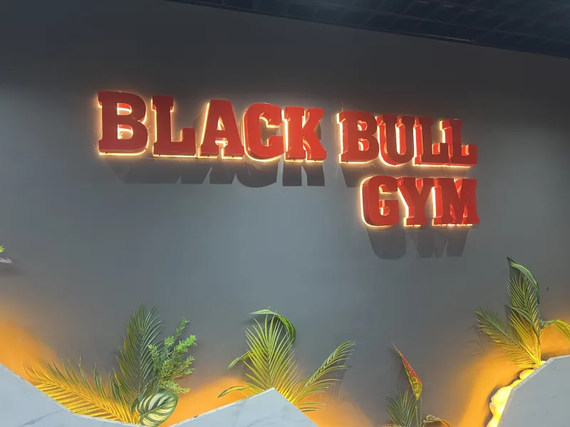 Black Bull Pro GYM — Tělocvična v Alanyi: Online objednávka, ceny a recenze